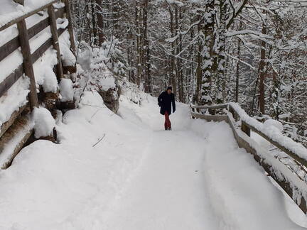 IMG 20170115 140209539